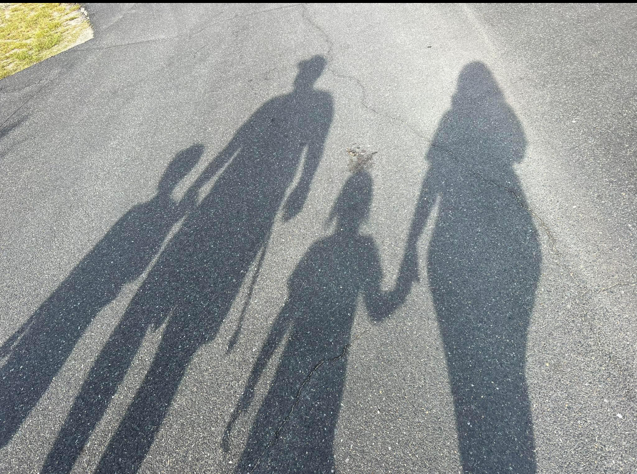 Simons family shadows