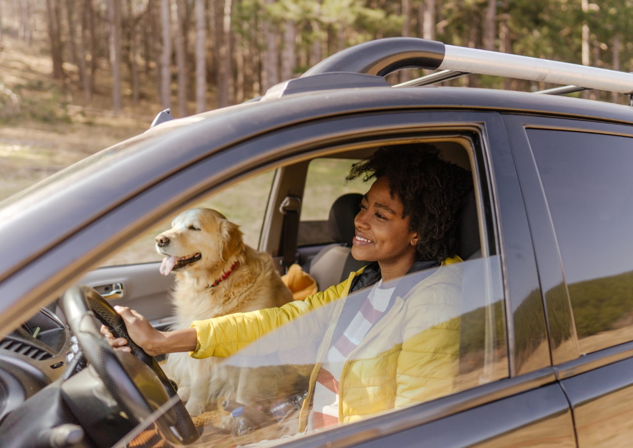 woman driving a SUV with a white dog in the passenger's seat